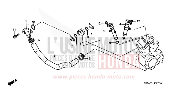 WATER PIPE for Shadow Aero REARL SEDONA RED (R223B) from 2001